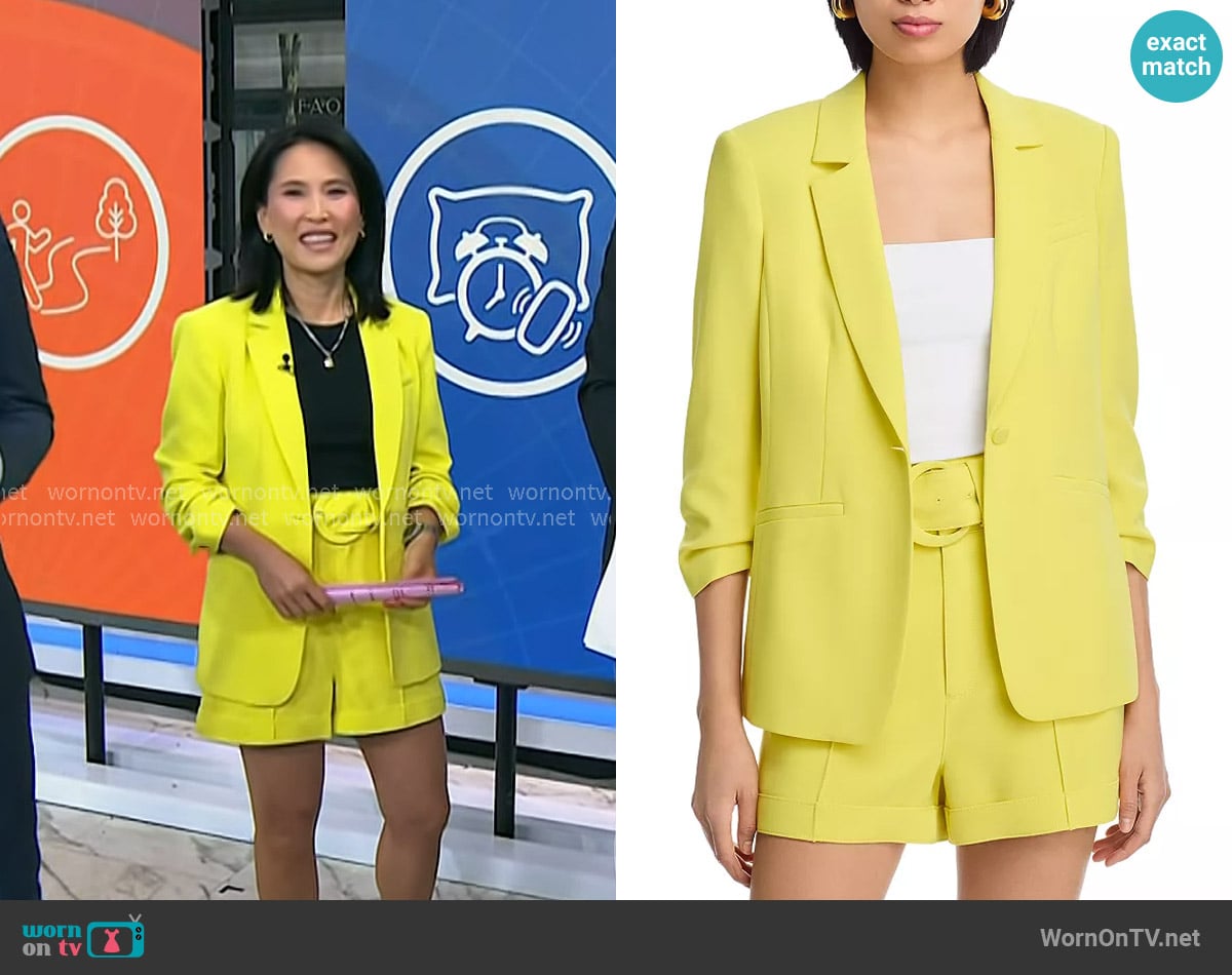 Vicky's Cinq a Sept jacket