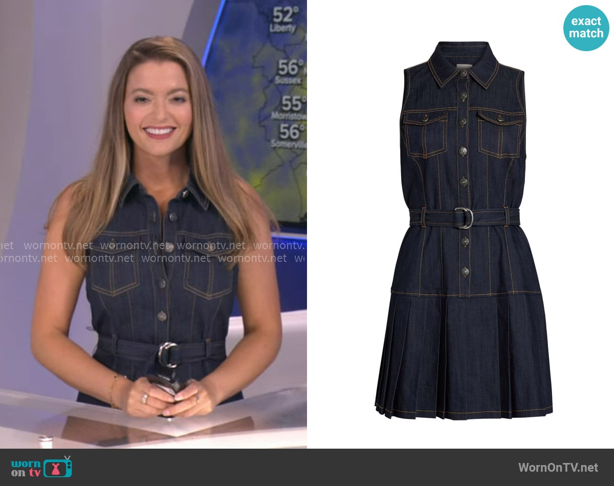 Dani's Cinq a Sept dress Dani's Cinq a Sept dress