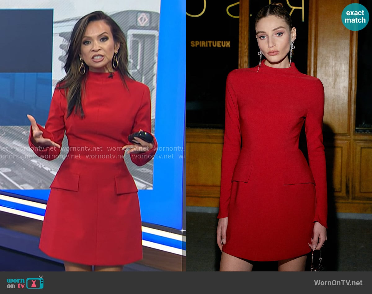 Adelle's Commense dress
