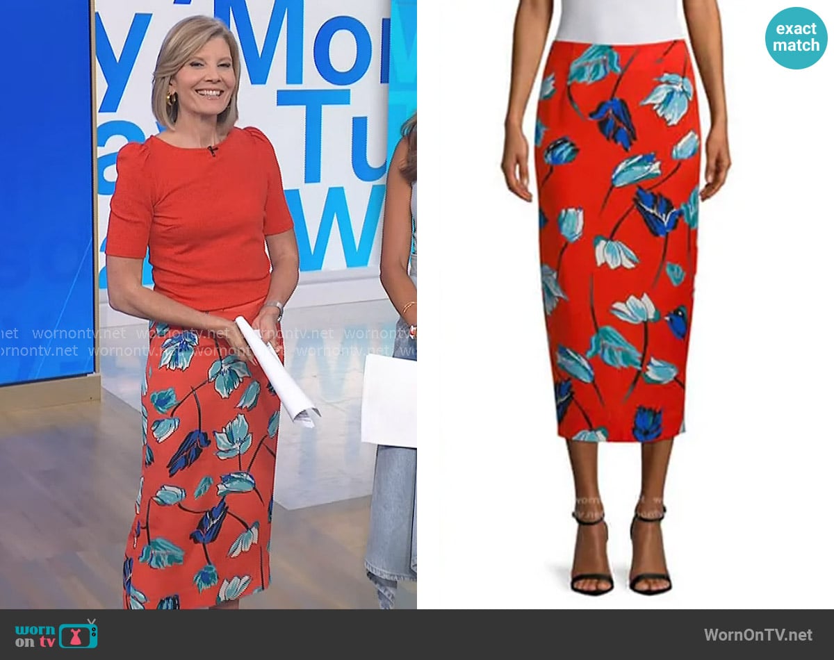 Kate Snow's Diane von Furstenberg skirt