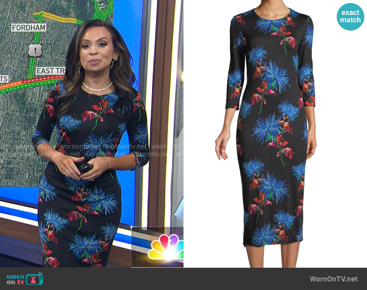 Adelle's Diane von Furstenberg dress