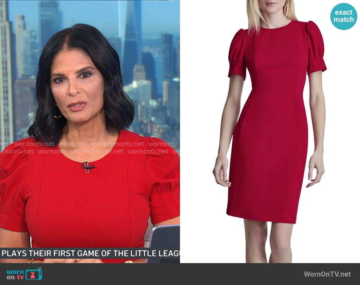 Darlene's DKNY dress