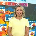 Dylan’s yellow fringed tweed dress on Today