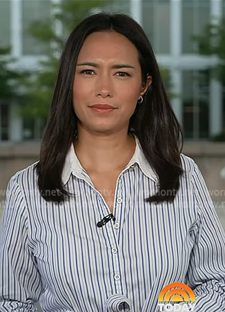 Emilie's blue stripe shirtdress on Today
