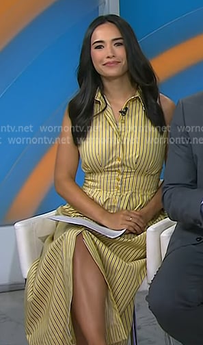 Emilie’s yellow striped sleeveless shirtdress on Today Emilie’s yellow striped sleeveless shirtdress on Today