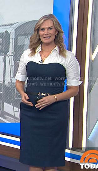 Emily’s navy mixed media sheath dress on Today