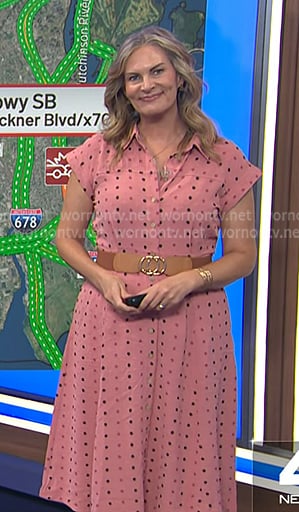 Emily’s pink swiss dot shirtdress on Today Emily’s pink swiss dot shirtdress on Today