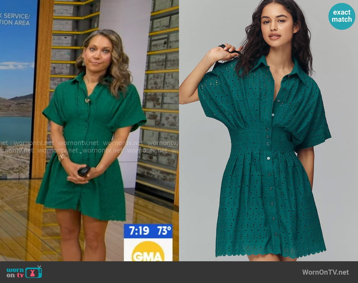 Ginger's Exquise dress