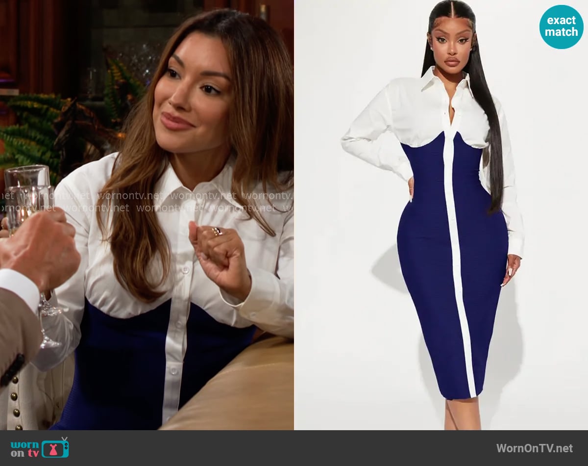 Audra's Fashion Nova dress