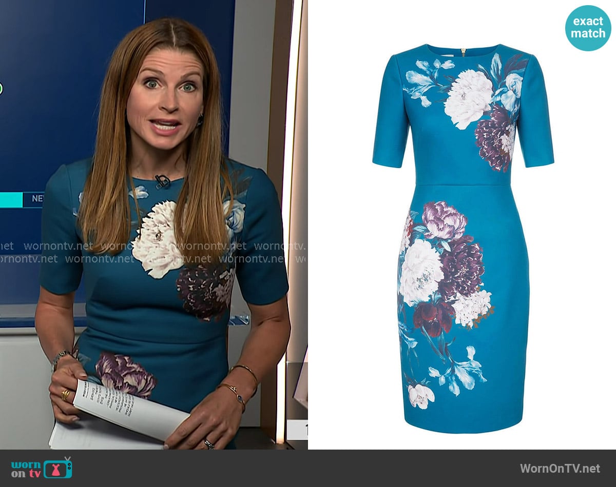 Jen Maxfield's Hobbs dreses Jen Maxfield's Hobbs dreses