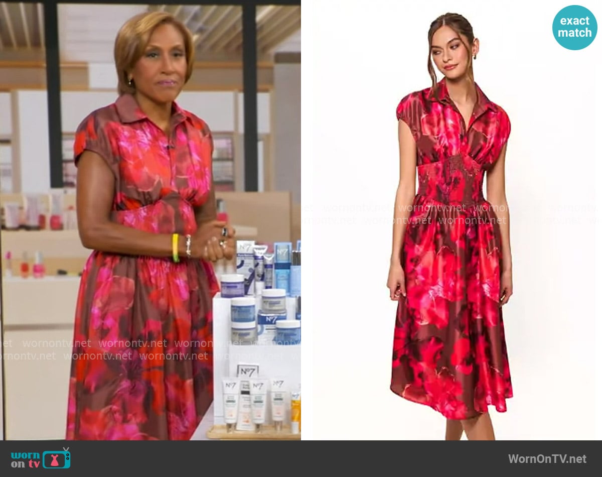 Robin's Hutch dress