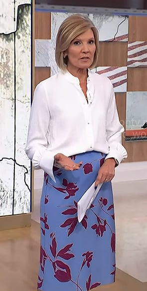 Kate's blue floral skirt on NBC News Daily