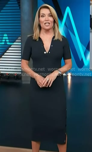 Kit's navy button detail polo dress on Access Hollywood