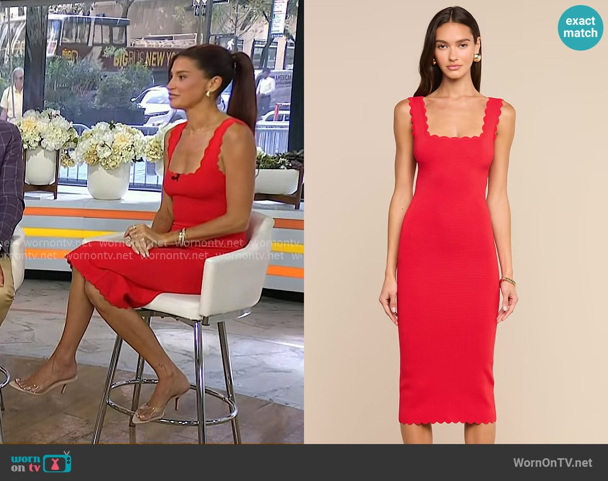 Nicole's L'Agence dress