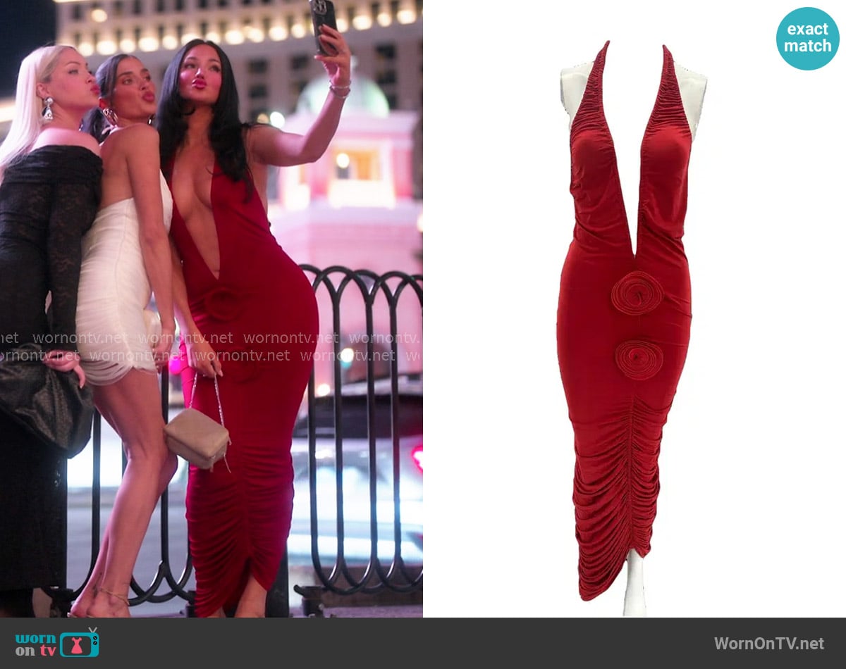 Natalie's Magda Butrym dress Natalie's Magda Butrym dress