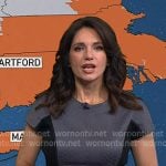 Maria’s grey colorblock flare dress on Today
