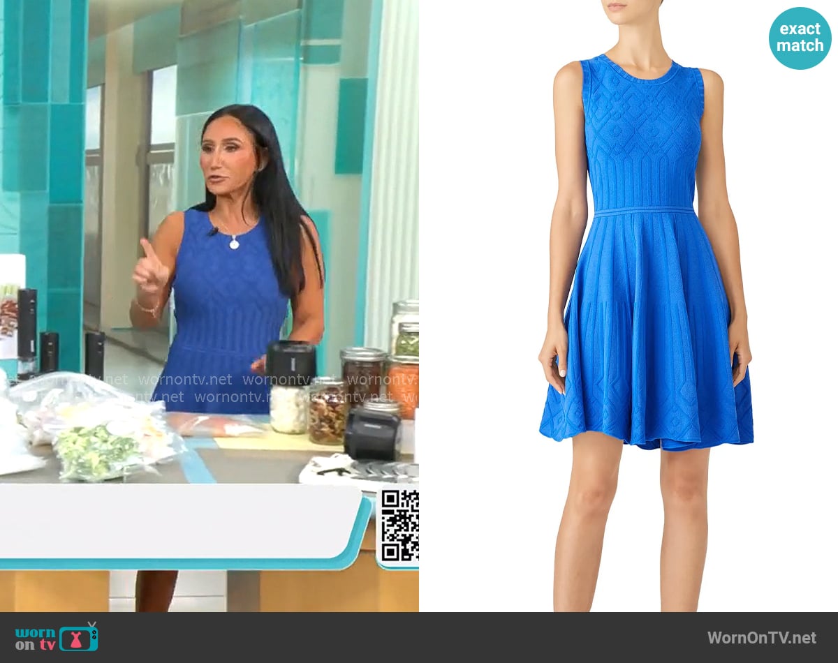 Milly Mosaic Texture Knit Fit & Flare Dress worn by Elizabeth Werner on CBS Mornings