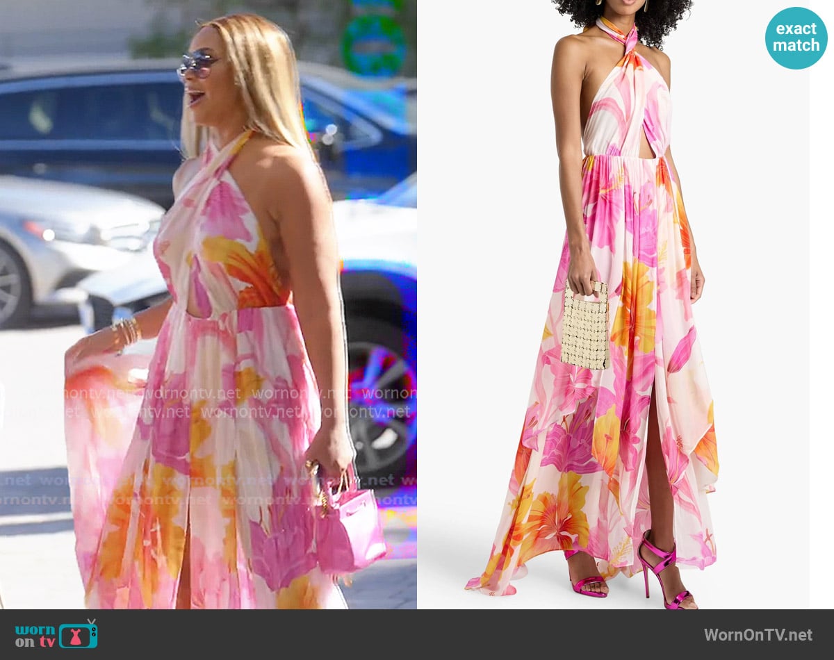 Retrofete Retrofete Ina Printed Crepe de Chine Halterneck Maxi Dress worn by  on The Real Housewives Ultimate Girls Trip