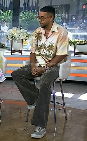 Romeo Santos’s palm tree print shirt on Today Romeo Santos’s palm tree print shirt on Today