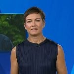 Stephanie’s navy pleated sleeveless top on Today Stephanie’s navy pleated sleeveless top on Today