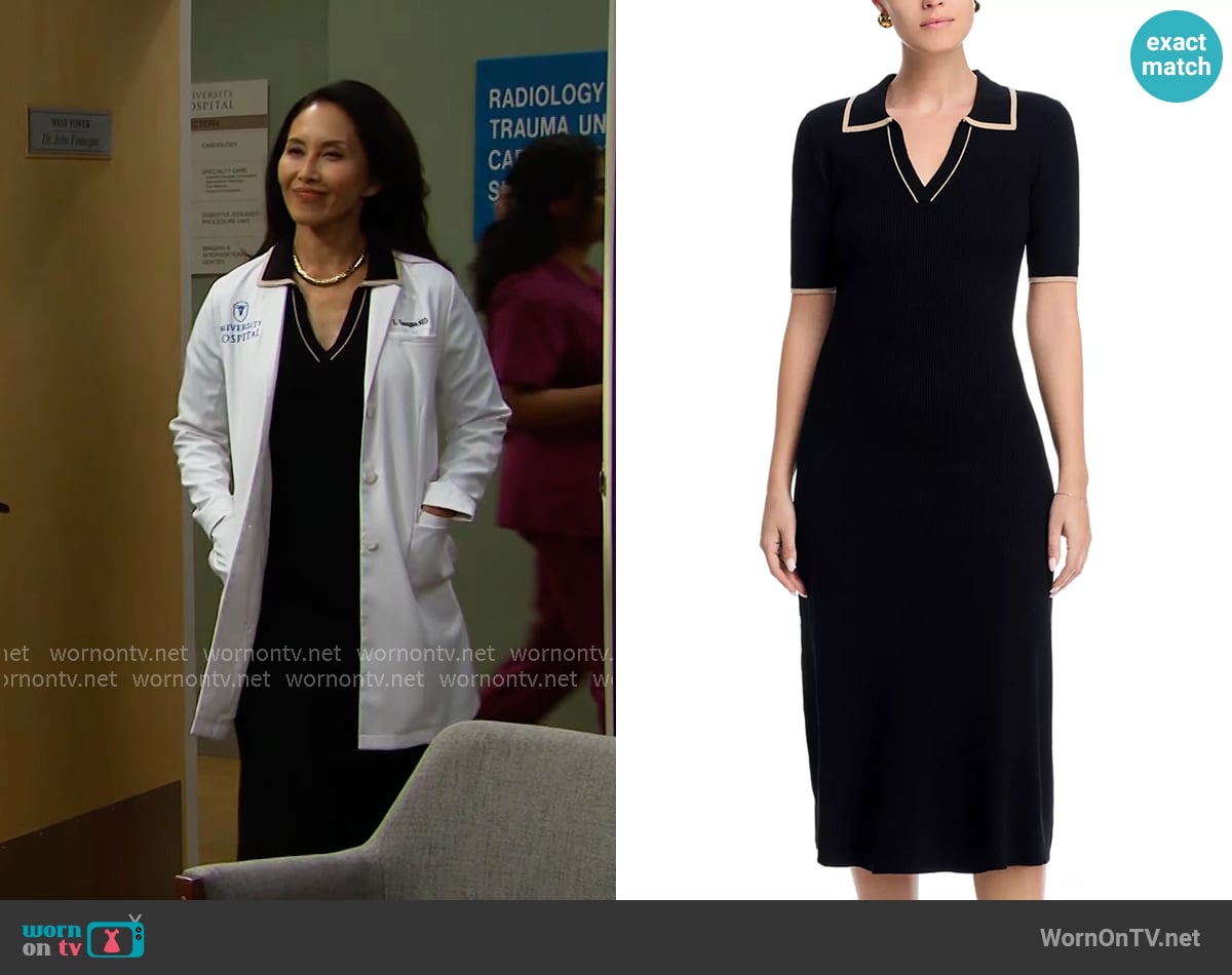 Li's T Tahari dress