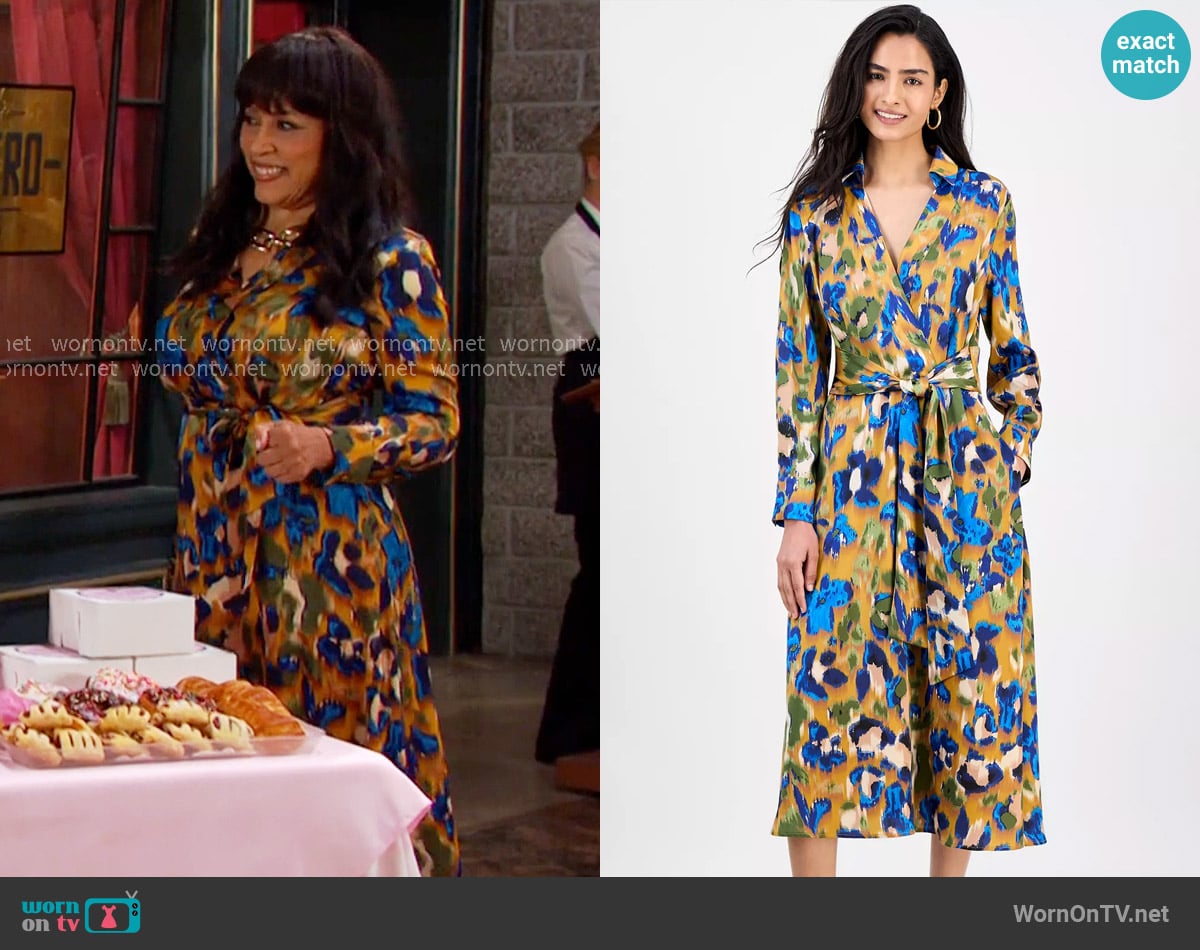 Paulina's Tahari ASL dress