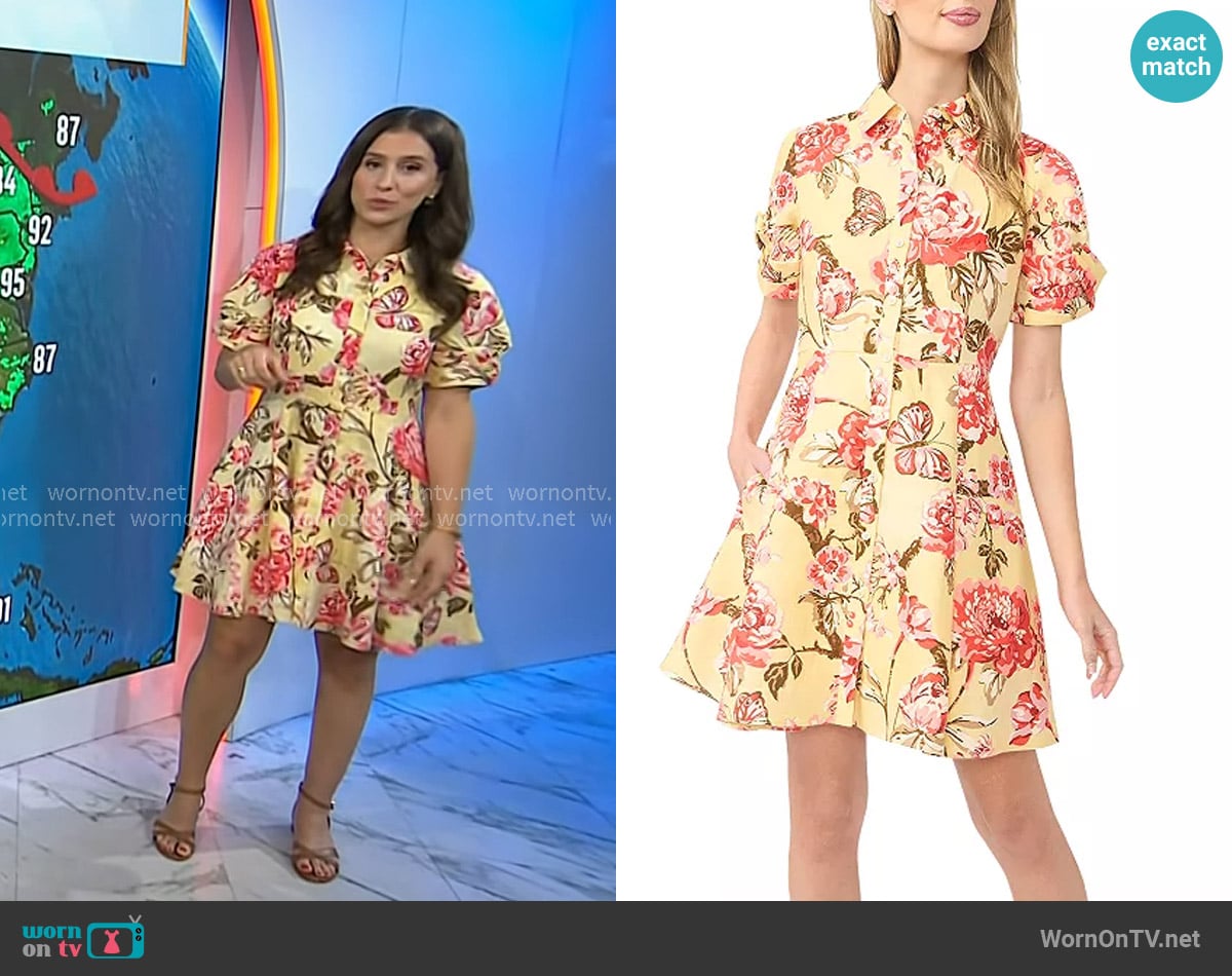 Angie Lassman's Ted Baker dress Angie Lassman's Ted Baker dress