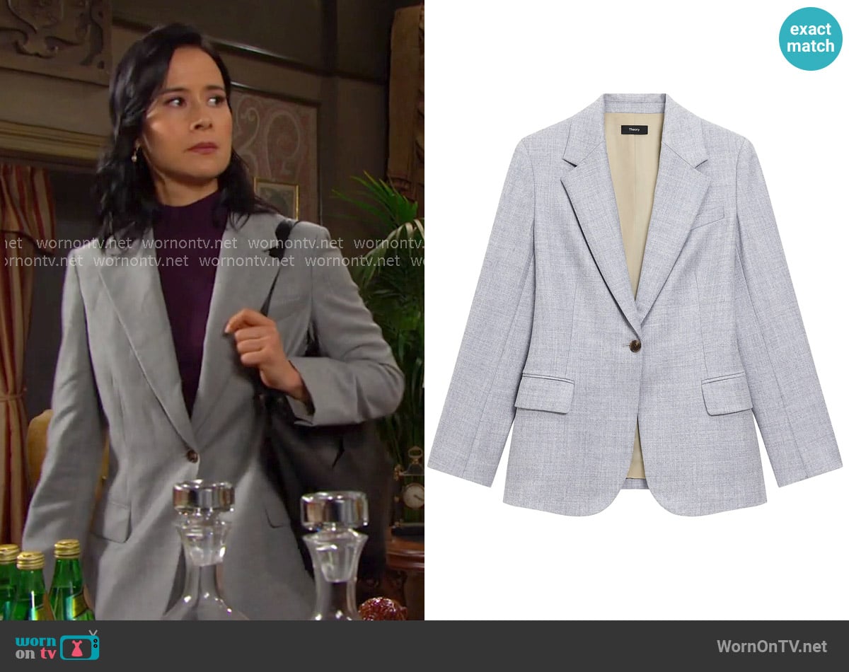 Amy's Theory jacket Amy's Theory jacket
