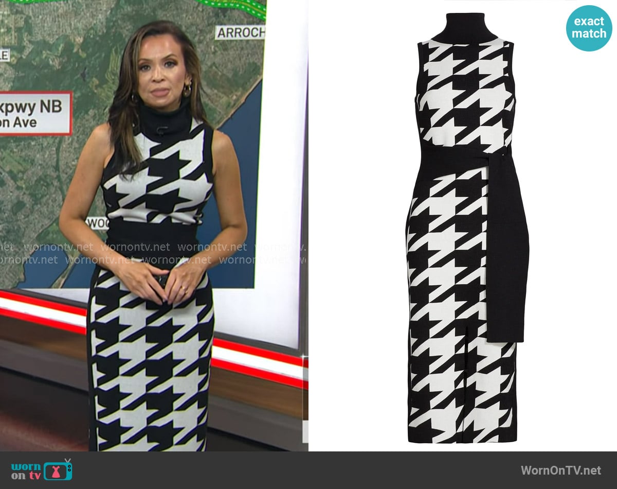 Toccin Peggy Houndstooth Tie-Front Midi-Dress worn by Adelle Caballero on Today