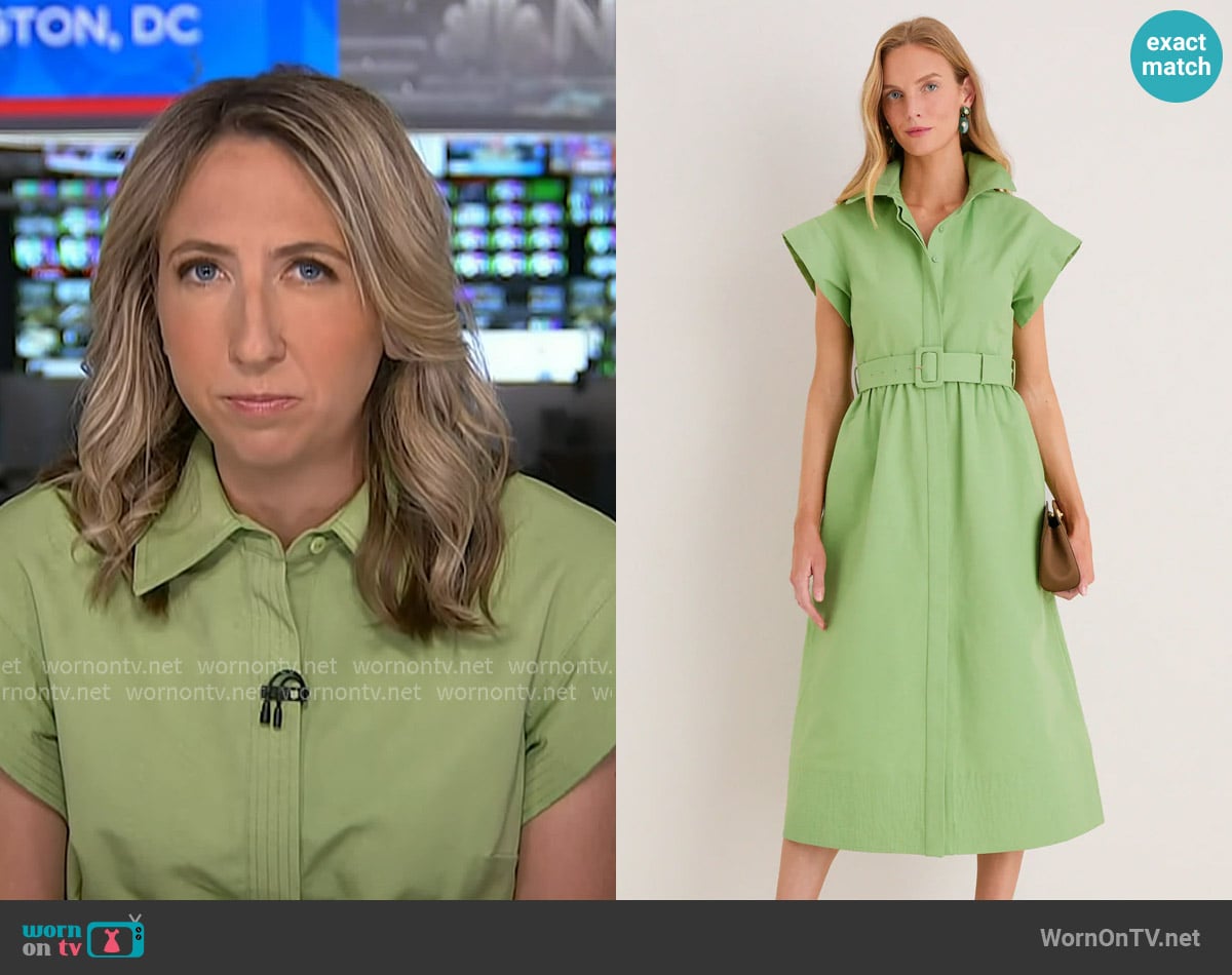 Julia Ainsley's Tuckernuck dress