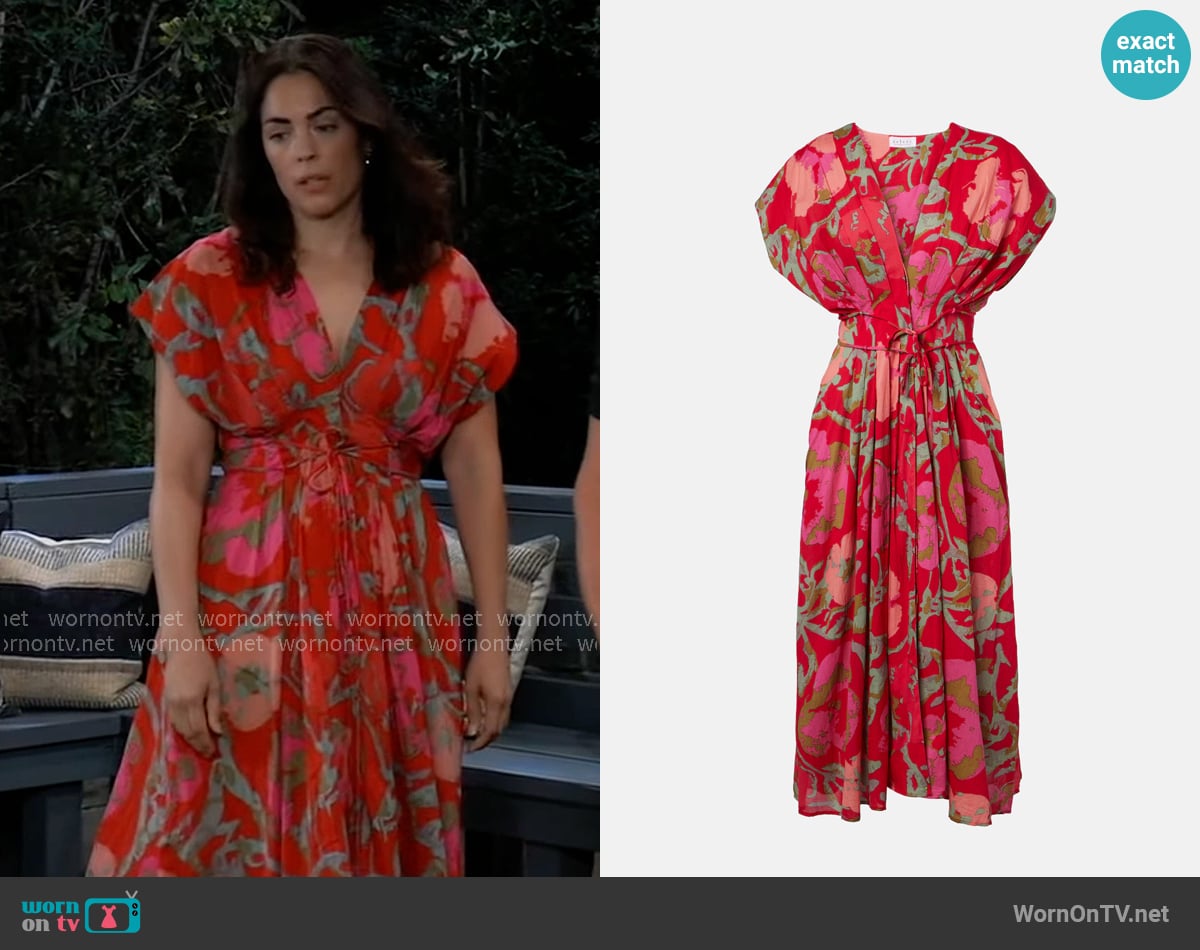 Britt's Velvet by Graham & Spencer dress