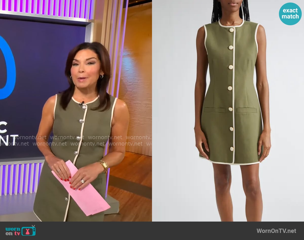 Meg Oliver's Veronica Beard dress Meg Oliver's Veronica Beard dress