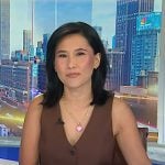 Vicky’s brown vest on NBC News Daily Vicky’s brown vest on NBC News Daily
