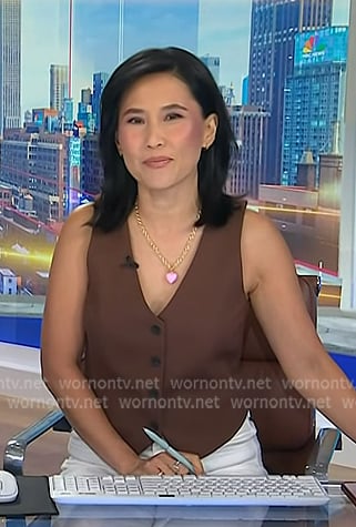 Vicky's brown vest on NBC News Daily