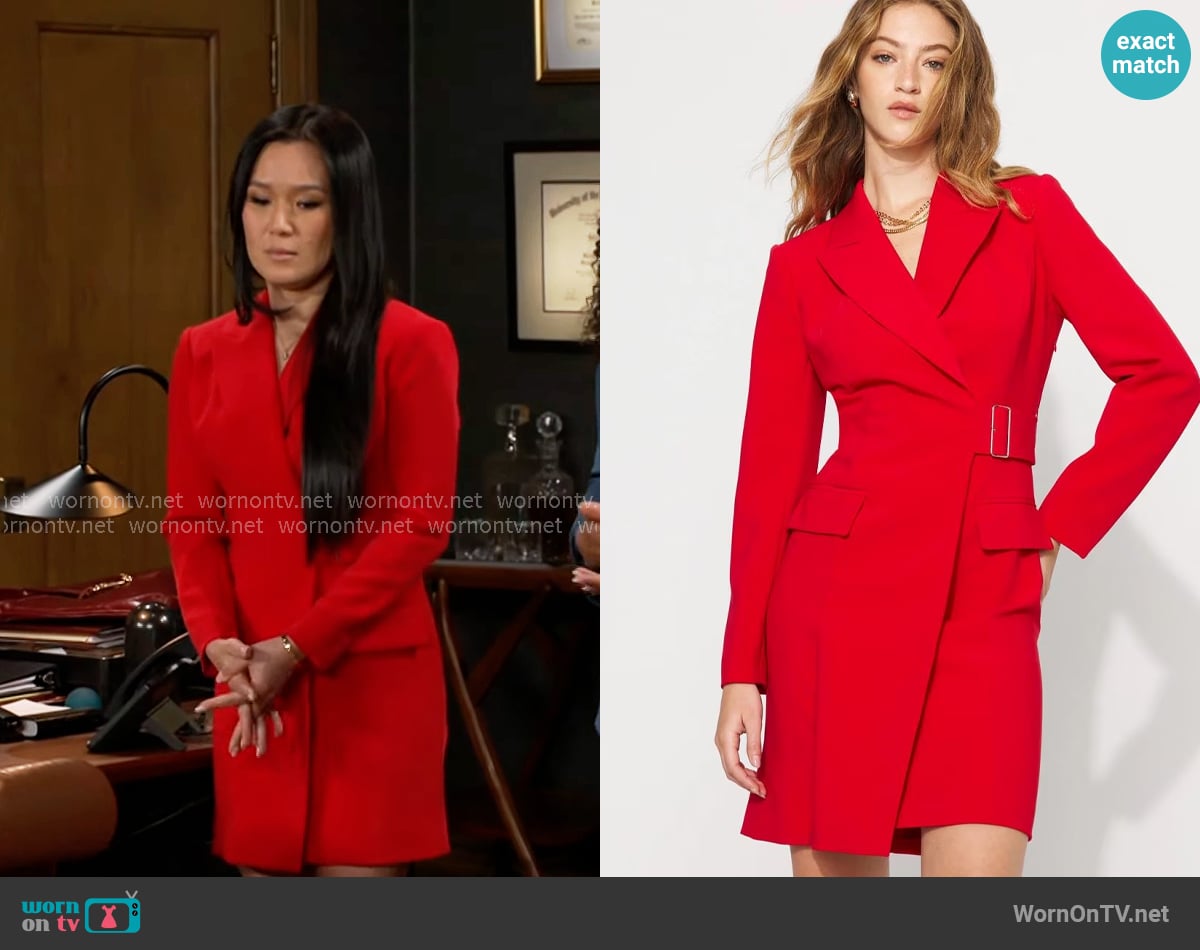 Caroline's White House Black Market dress