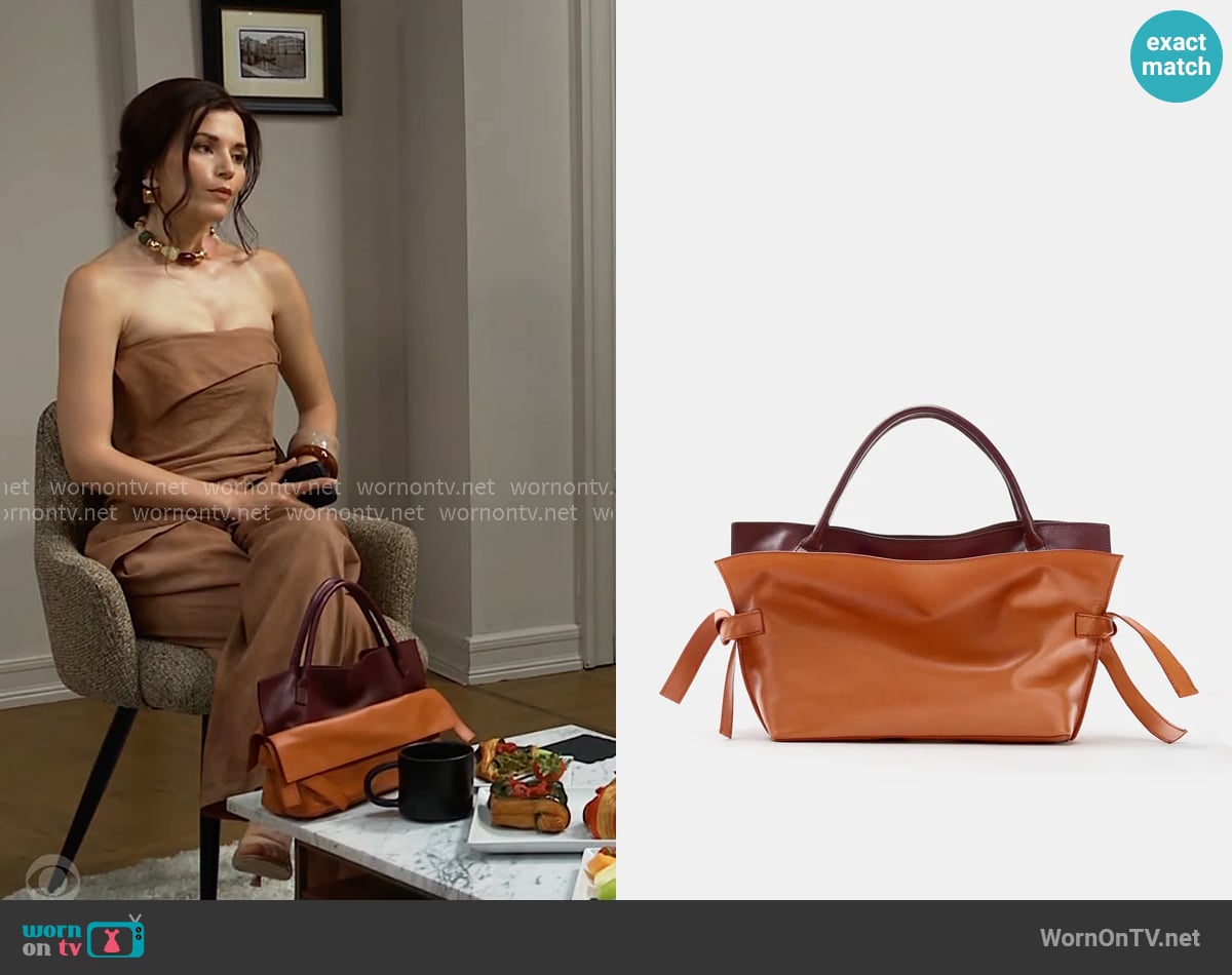 Chloe's Zara bag