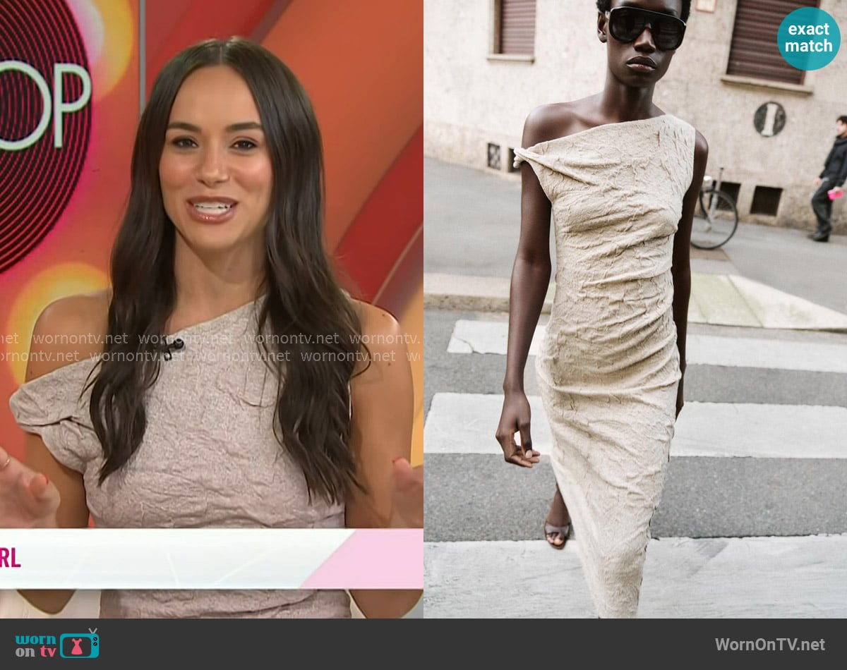 Zara Pleated Jacquard Dress in Mink brown worn by Emily Curl on Today Zara Pleated Jacquard Dress in Mink brown worn by Emily Curl on Today