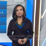 Adelle’s brown v-neck sweater dress on Today