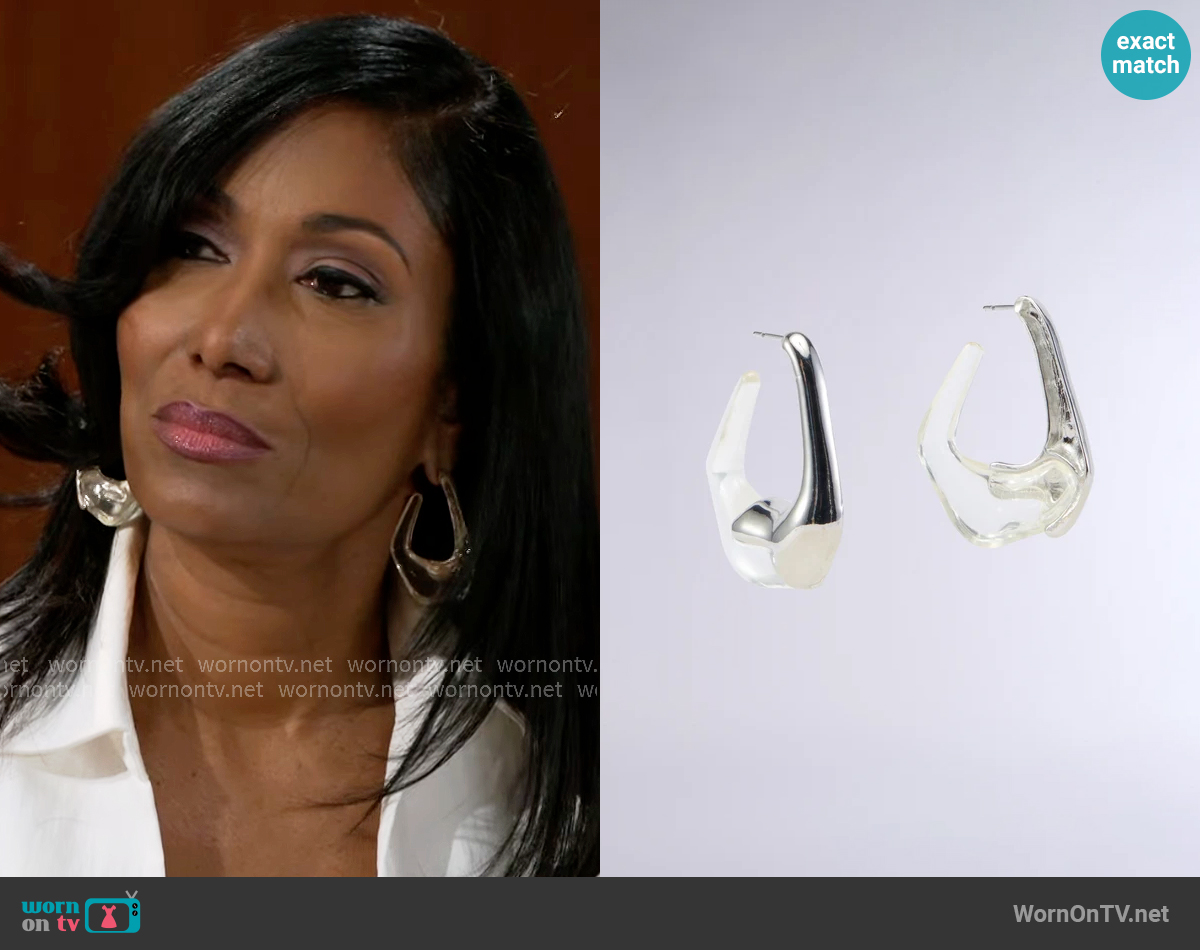 Leslie's Akira earrings Leslie's Akira earrings