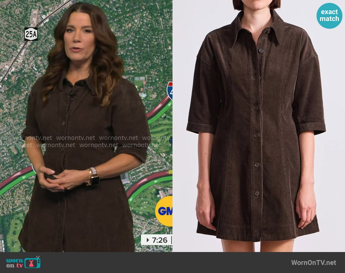 Heather's Apiece Apart dress