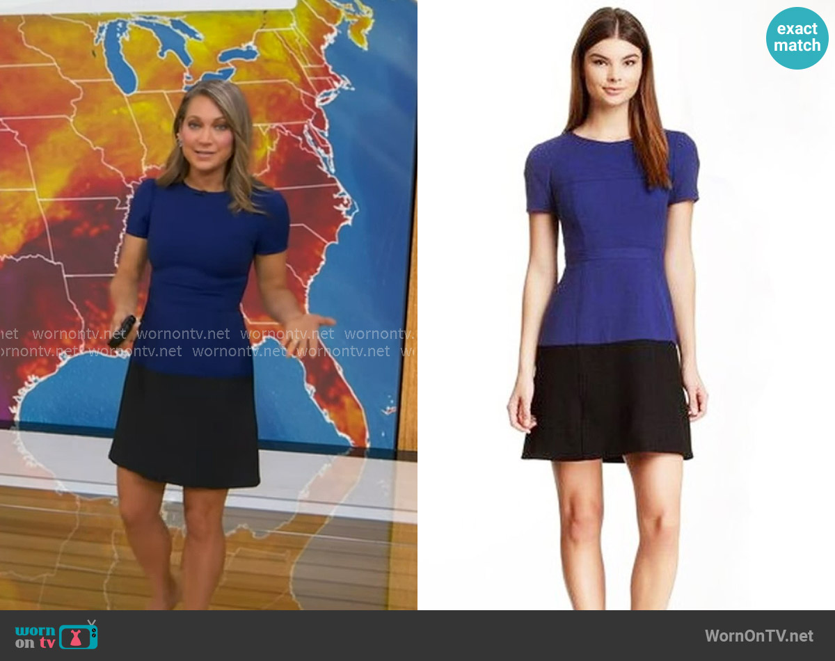 Ginger's Bcbgmaxazria dress