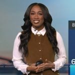 Brittany's brown suede sleeveless dress on Good Morning America Brittany's brown suede sleeveless dress on Good Morning America