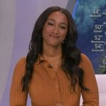 Brittany's orange ribbed cardigan on Good Morning America Brittany's orange ribbed cardigan on Good Morning America