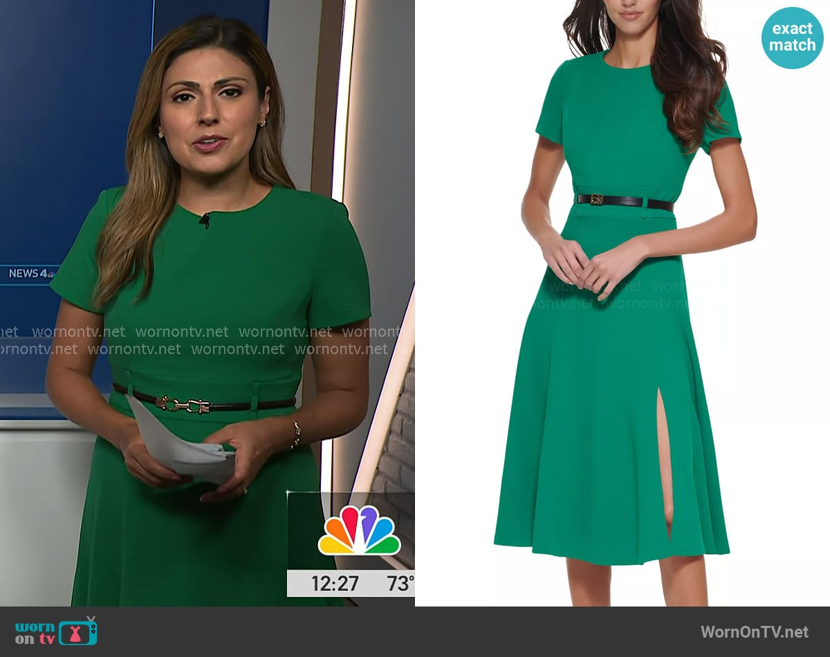 Rana Novini's Calvin Klein dress Rana Novini's Calvin Klein dress