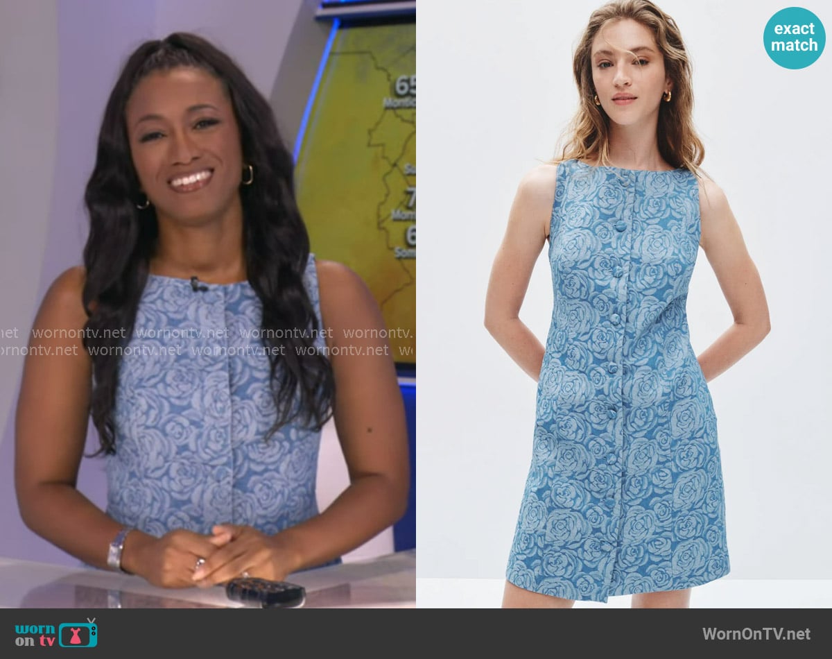 Brittany's Cece dress