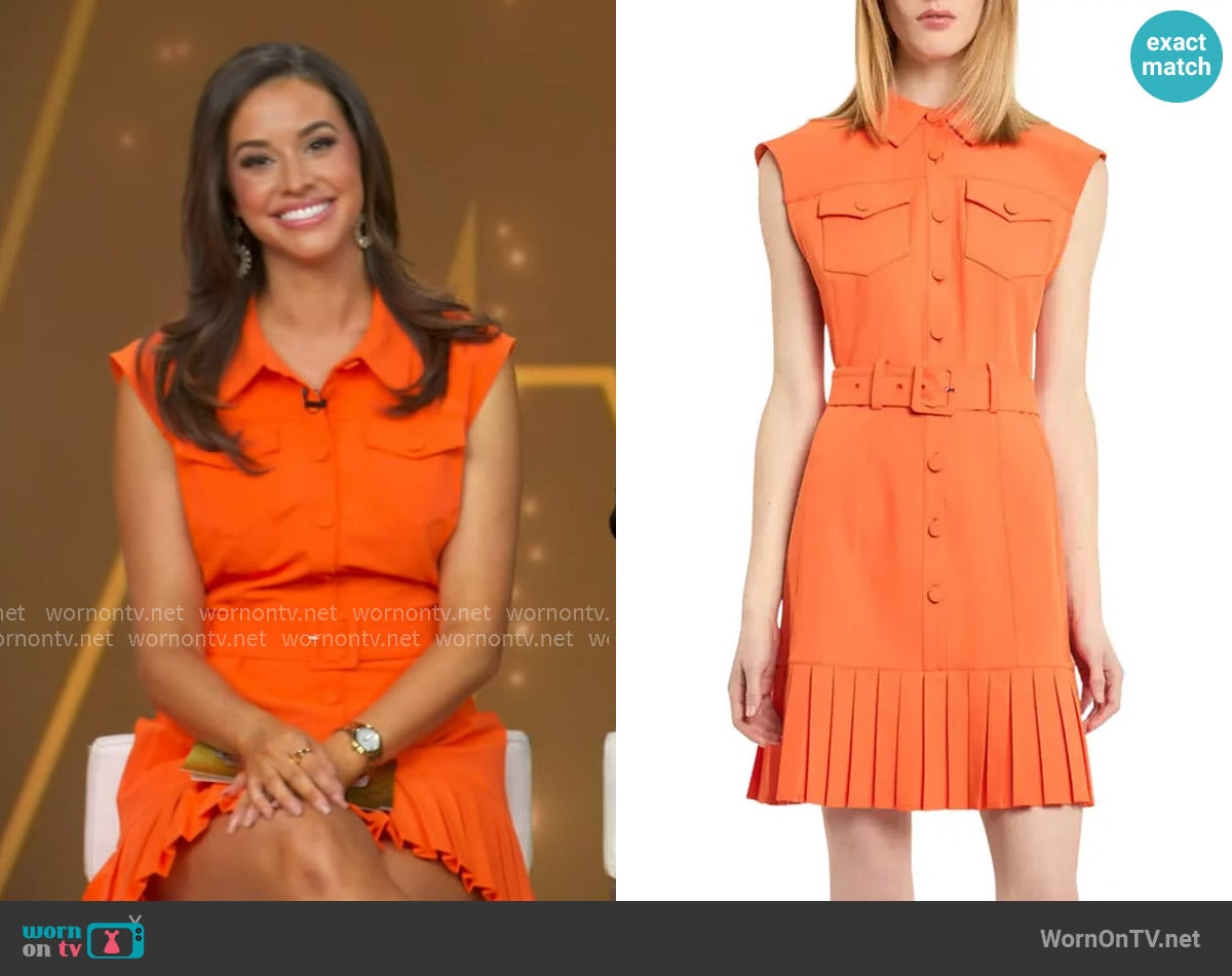 Hanna's Cinq a Sept dress