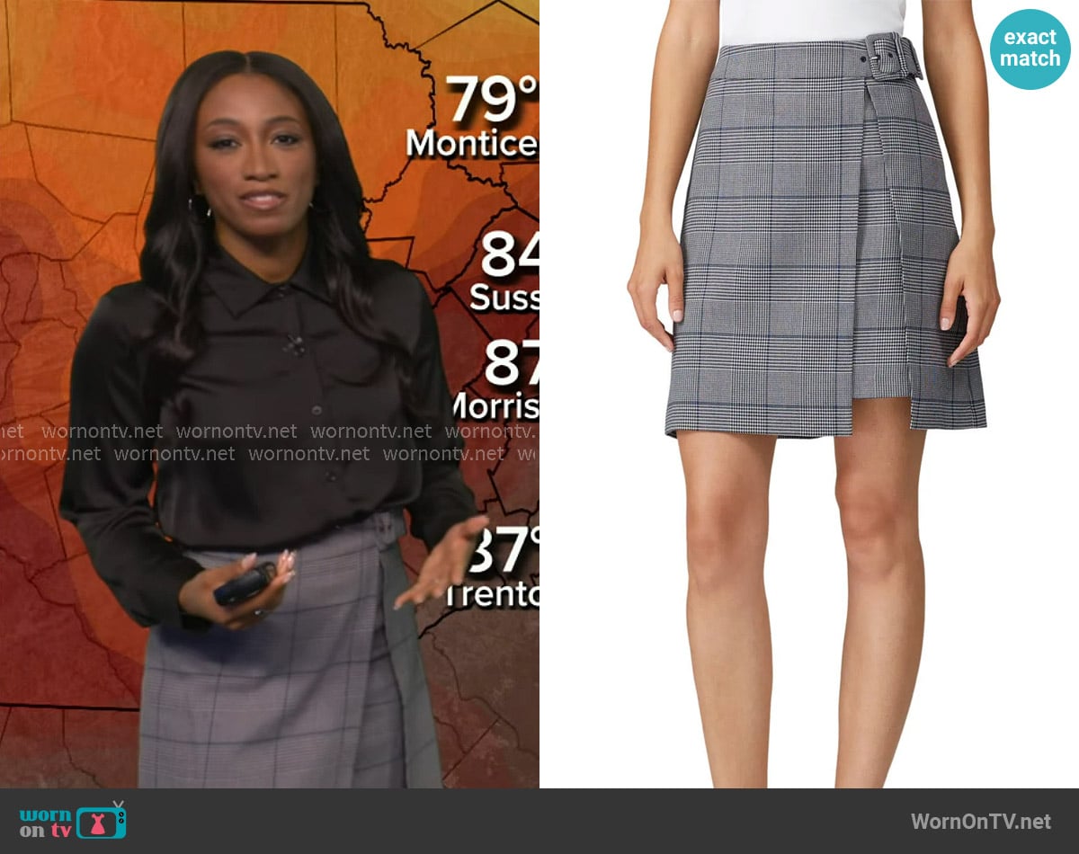 Brittany's Club Monaco skirt Brittany's Club Monaco skirt