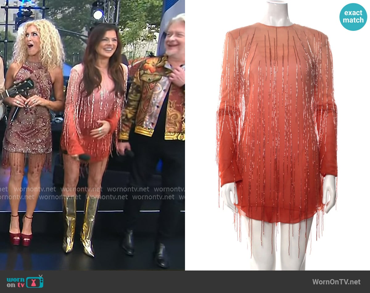 Karen Fairchild's Cucculelli Shaheen dress Karen Fairchild's Cucculelli Shaheen dress