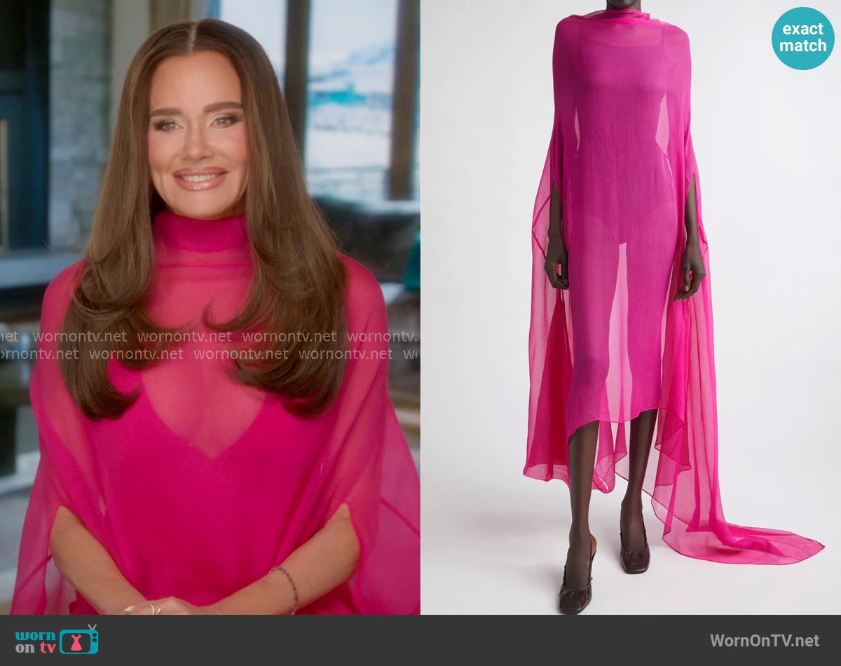 Meredith's Dries Van Noten dress