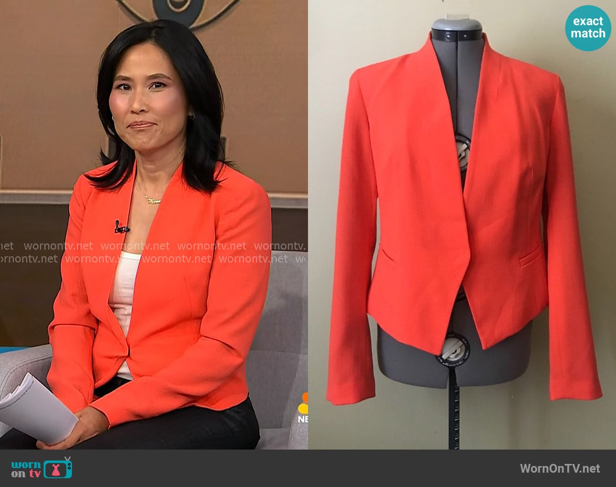 Rachel Rachel Roy Orange Blazer worn by Vicky Nguyen on NBC News Daily